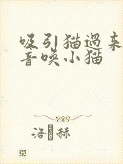 吸引猫过来的声音唤小猫