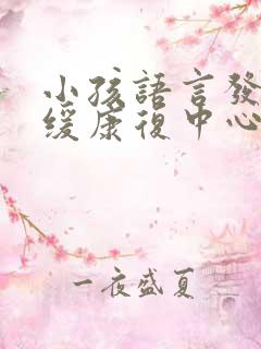 小孩语言发育迟缓康复中心