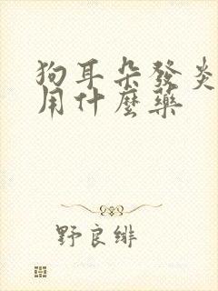 狗耳朵发炎流脓用什么药