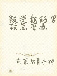 叛逆期的男孩子该怎么办