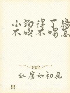 小狗得了肠胃炎不吃不喝怎么办