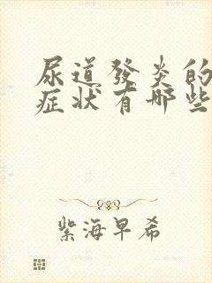 尿道发炎的表现症状有哪些