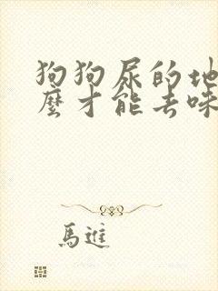 狗狗尿的地方怎么才能去味