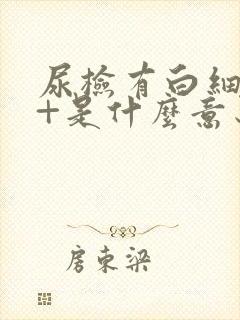 尿检有白细胞2+是什么意思