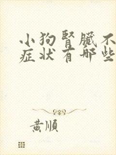 小狗肾脏不好的症状有哪些