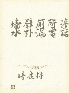 墙壁厕所渗水防水补漏电话