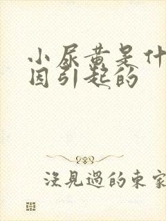 小尿黄是什么原因引起的