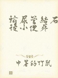 输尿管结石手术后小便疼