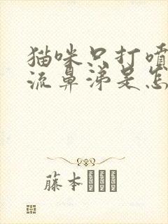 猫咪只打喷嚏不流鼻涕是怎么回事