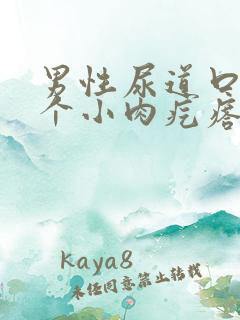 男性尿道口内长个小肉疙瘩是怎么回事