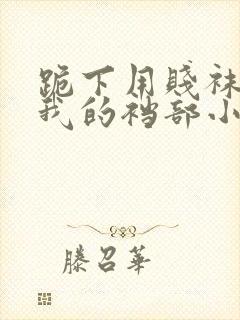 跪下用贱袜子踩我的裆部小说