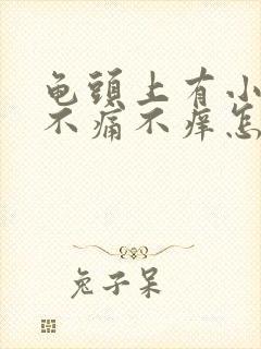 龟头上有小红斑不痛不痒怎么回事