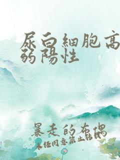 尿白细胞高酯酶弱阳性