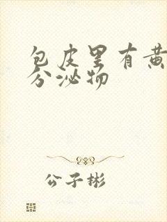 包皮里有黄绿色分泌物