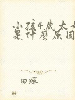 小孩4岁太好动是什么原因