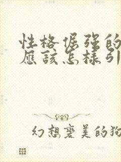 性格倔强的孩子应该怎样引导