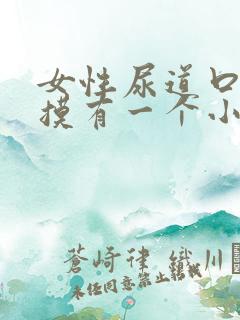 女性尿道口用手摸有一个小疙瘩