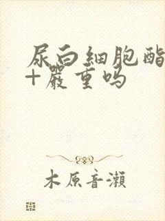 尿白细胞酯酶1+严重吗