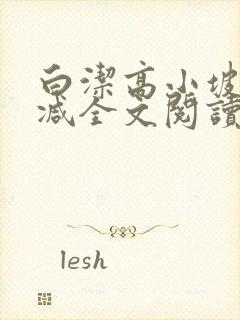 白洁高小坡无删减全文阅读在线