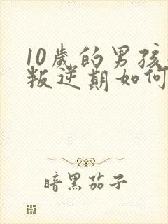 10岁的男孩子叛逆期如何管教