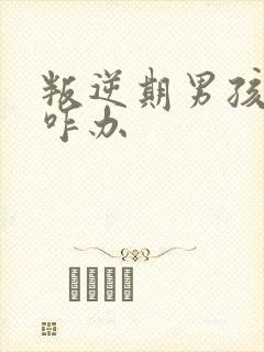 叛逆期男孩厌学咋办