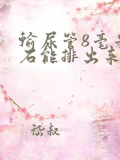 输尿管8毫米结石能排出来吗