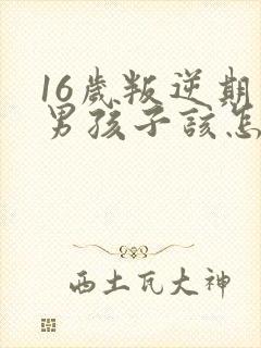 16岁叛逆期的男孩子该怎样去沟通教育