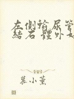 左侧输尿管下段结石 体外好碎石吗