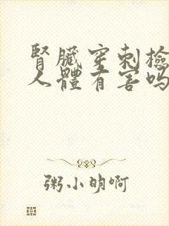 肾脏穿刺检查对人体有害吗