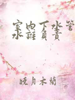 室内下水管道漏水谁负责