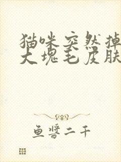 猫咪突然掉了一大块毛皮肤还溃烂