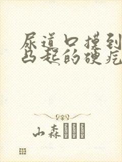 尿道口摸到一个凸起的硬疙瘩