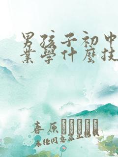 男孩子初中没毕业学什么技术好