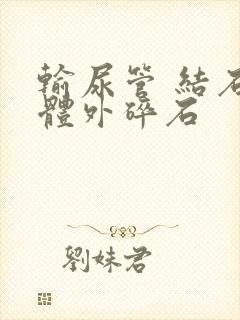 输尿管 结石 体外碎石