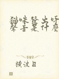 猫咪发出呼呼的声音是什么意思