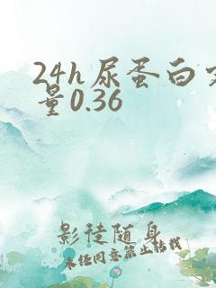 24h尿蛋白定量0.36