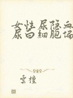 女性尿隐血2十尿白细胞偏高