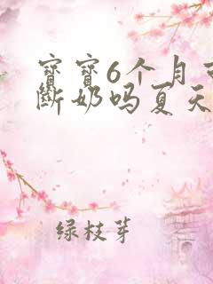 宝宝6个月可以断奶吗夏天