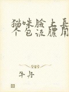 猫咪脸上长了一个包流脓用什么药