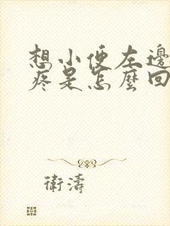 想小便左边肚子疼是怎么回事