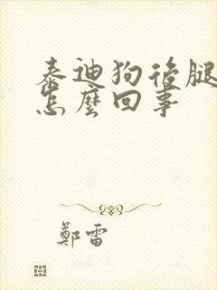 泰迪狗后腿抖是怎么回事