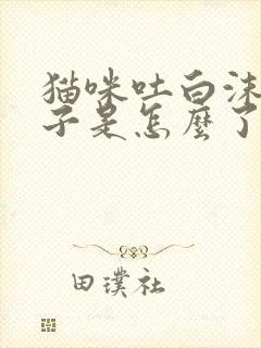 猫咪吐白沫黄水子是怎么了