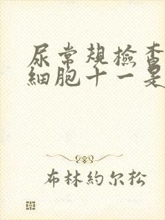 尿常规检查尿白细胞十一是什么意思