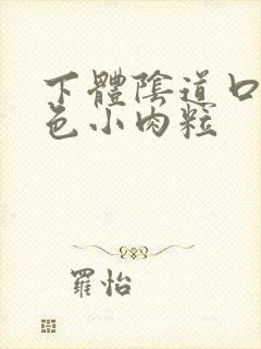 下体阴道口长粉色小肉粒