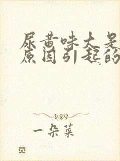 尿黄味大是什么原因引起的