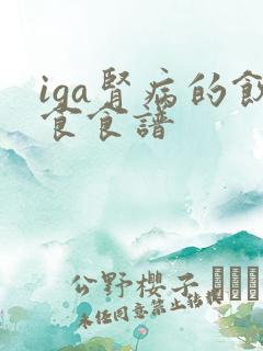 iga肾病的饮食食谱