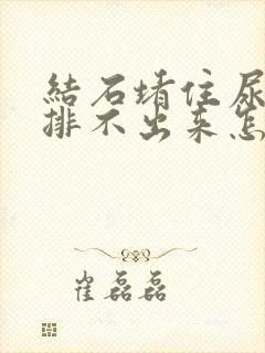 结石堵住尿道口排不出来怎么办