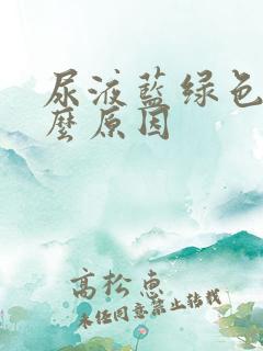 尿液蓝绿色有什么原因