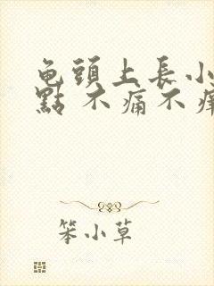 龟头上长小红点点 不痛不痒