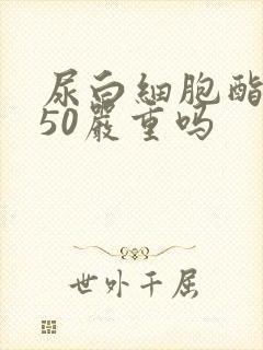 尿白细胞酯酶250严重吗